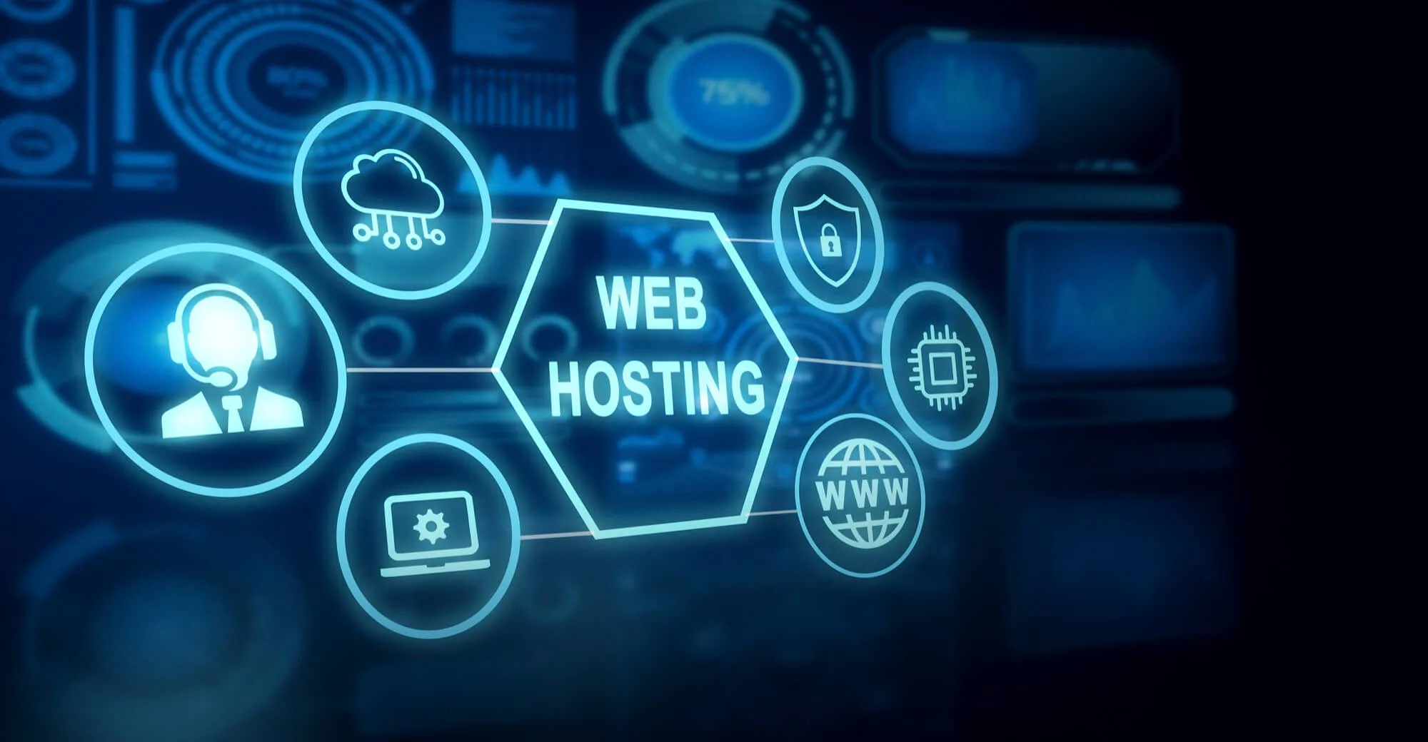 Web Hosting & Support